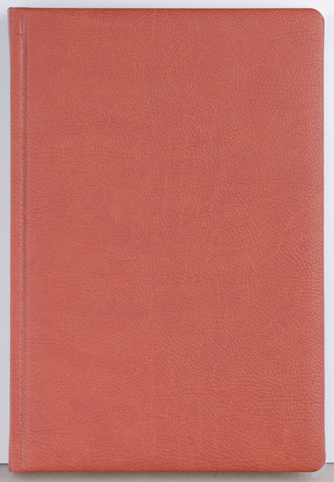 Agenda datata zilnic Office [2]