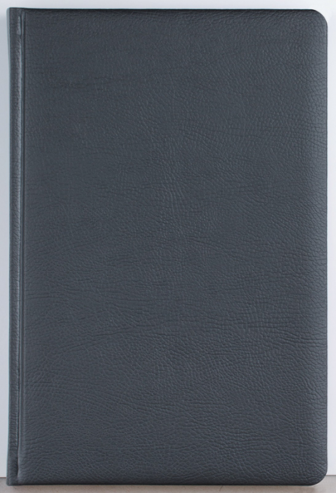 Agenda datata zilnic Office [4]