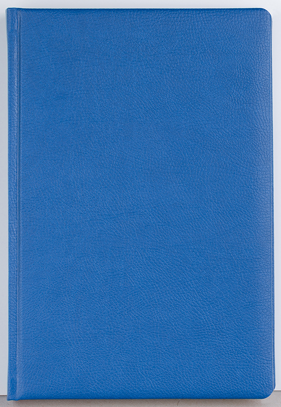 Agenda datata zilnic Office [6]