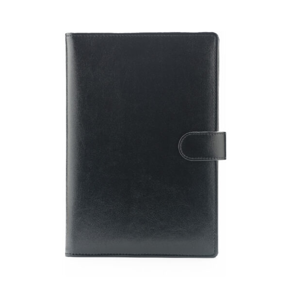 Agenda de lux datata zilnic Sandra, R460, 15 x 21 cm [3]