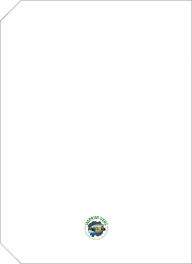 Agenda nedatata Linea [7]