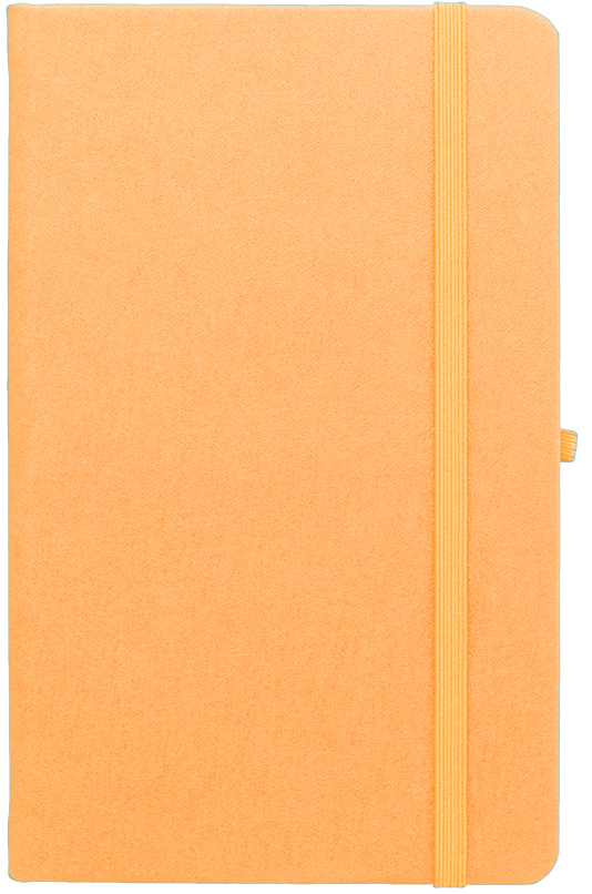 Agenda nedatata Notebook Pro 13x21cm [7]