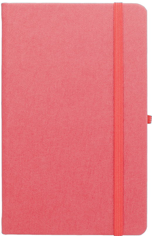 Agenda nedatata Notebook Pro 16,5x21cm [7]