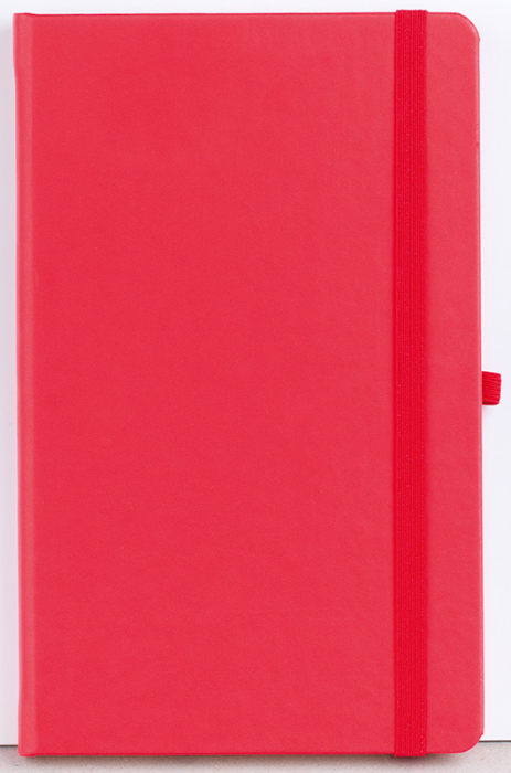Agenda nedatata Notebook Pro 16x21cm [11]