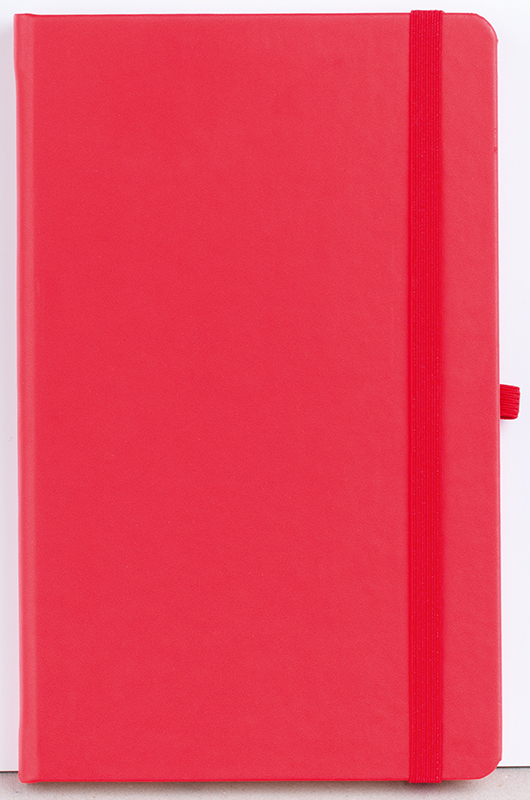 Agenda nedatata Notebook Pro 16x21cm [8]