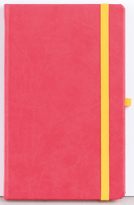 Agenda nedatata Notebook Pro 16x21cm [7]