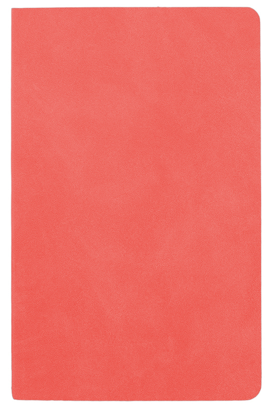 Agenda nedatata Pastel [4]