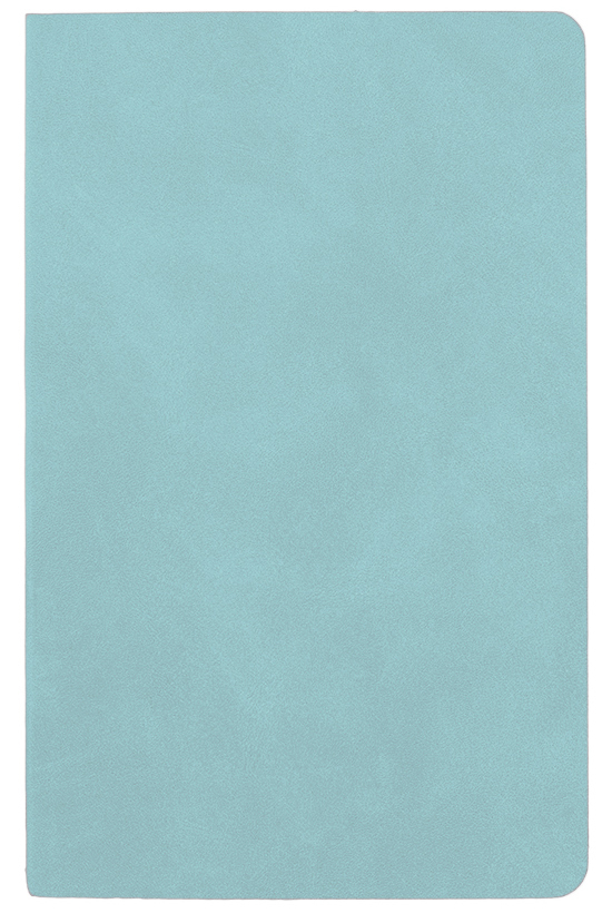 Agenda nedatata Pastel [5]