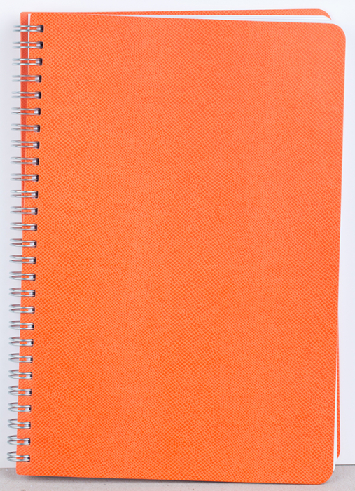 Agenda nedatata Riga [2]