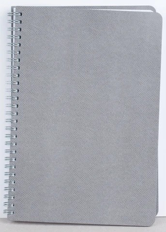 Agenda nedatata Riga [2]