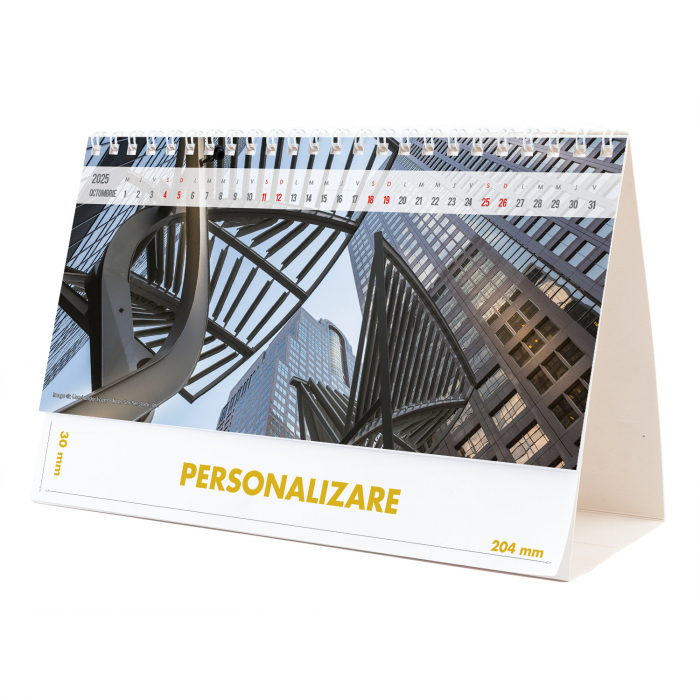 Calendar de birou Arhitectura Moderna , 12 file, CD [20]