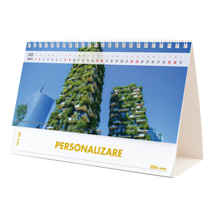 Calendar de birou Arhitectura Moderna , 12 file, CD [6]