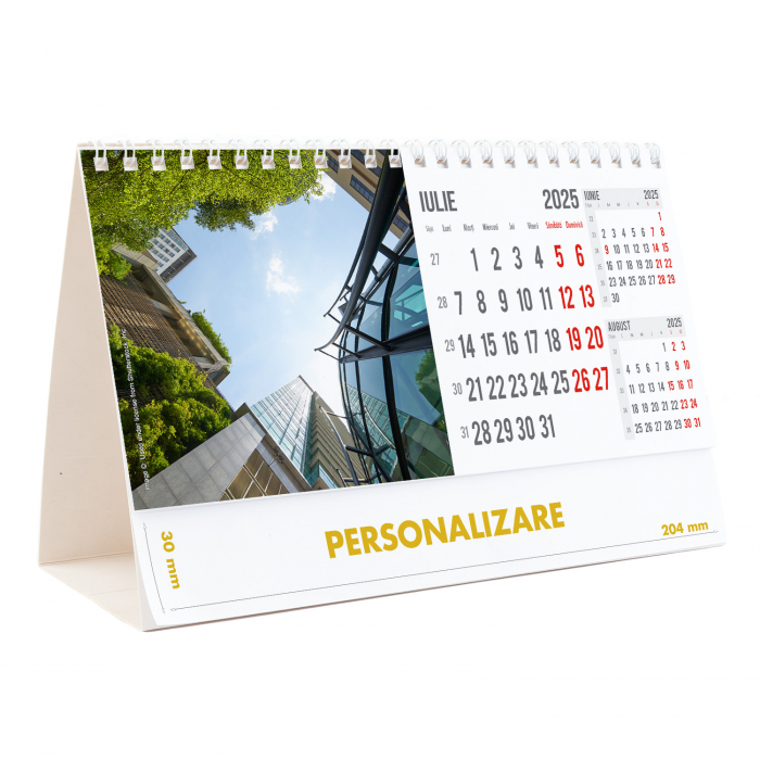 Calendar de birou Arhitectura Moderna , 12 file, CD [15]