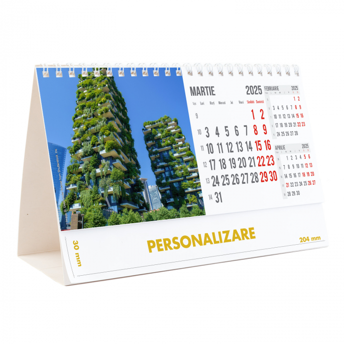 Calendar de birou Arhitectura Moderna , 12 file, CD [7]