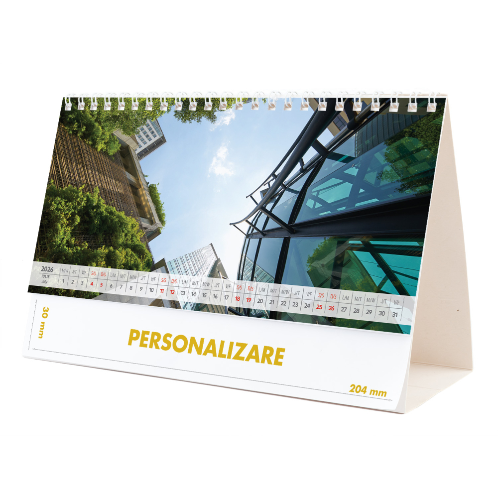 Calendar de birou Arhitectura Moderna , 12 file, CD [14]