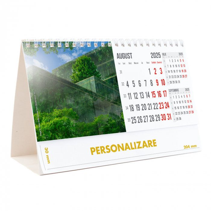 Calendar de birou Arhitectura Moderna , 12 file, CD [17]
