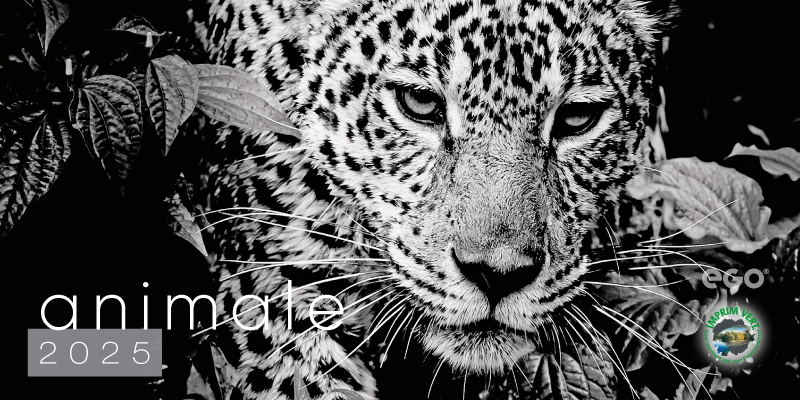 Calendar de birou COLECTIE ALTERNATIVA* , CA [3]