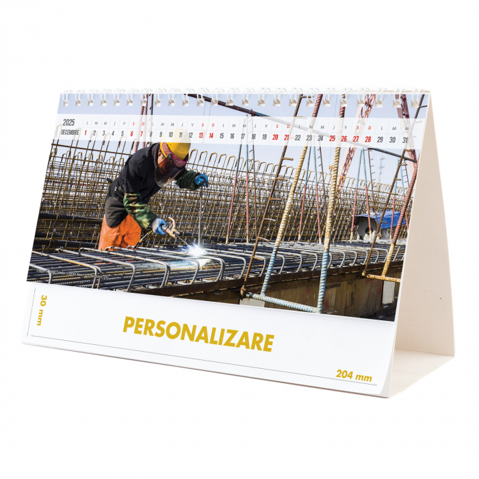 Calendar de birou Constructii, 12 file, CD [24]