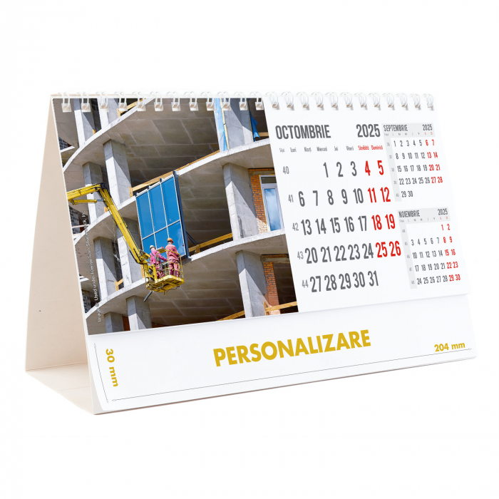 Calendar de birou Constructii, 12 file, CD [21]