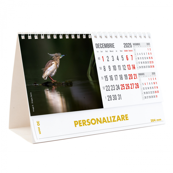 Calendar de birou Magia Deltei, 12 file, CD [25]