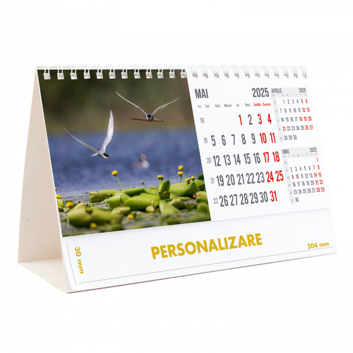 Calendar de birou Magia Deltei, 12 file, CD [11]