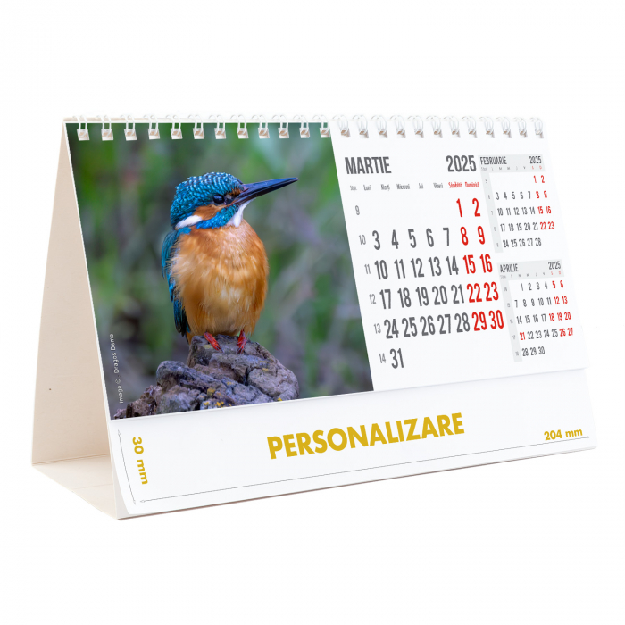 Calendar de birou Magia Deltei, 12 file, CD [7]