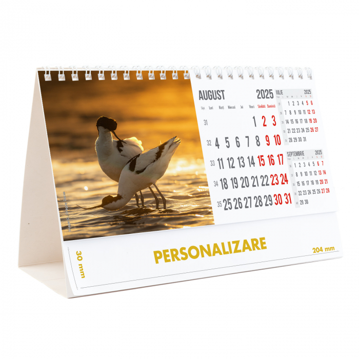 Calendar de birou Magia Deltei, 12 file, CD [17]