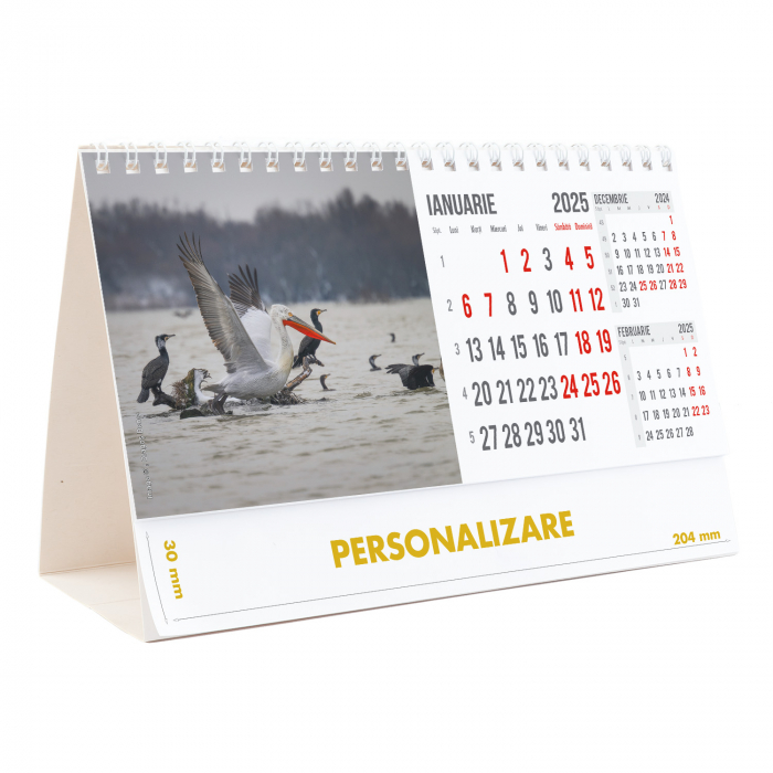 Calendar de birou Magia Deltei, 12 file, CD [3]