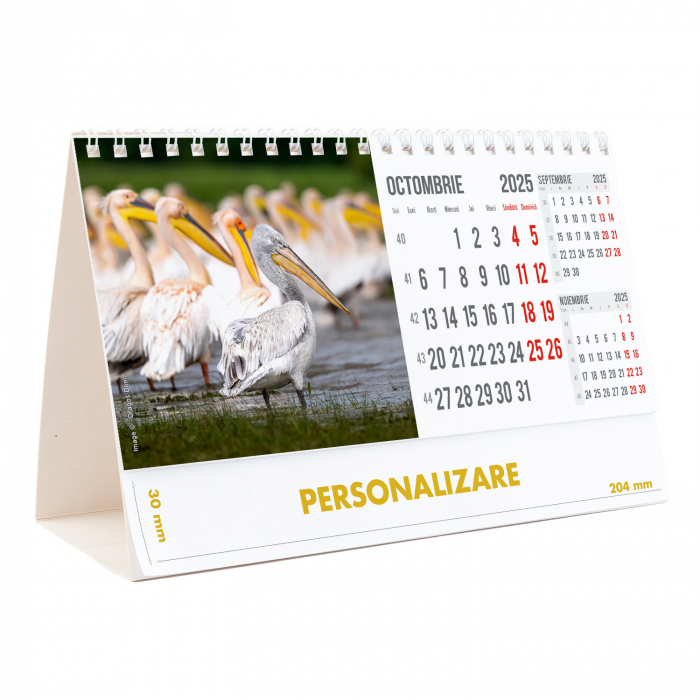 Calendar de birou Magia Deltei, 12 file, CD [21]