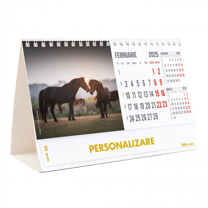 Calendar de birou Magia Deltei, 12 file, CD [5]
