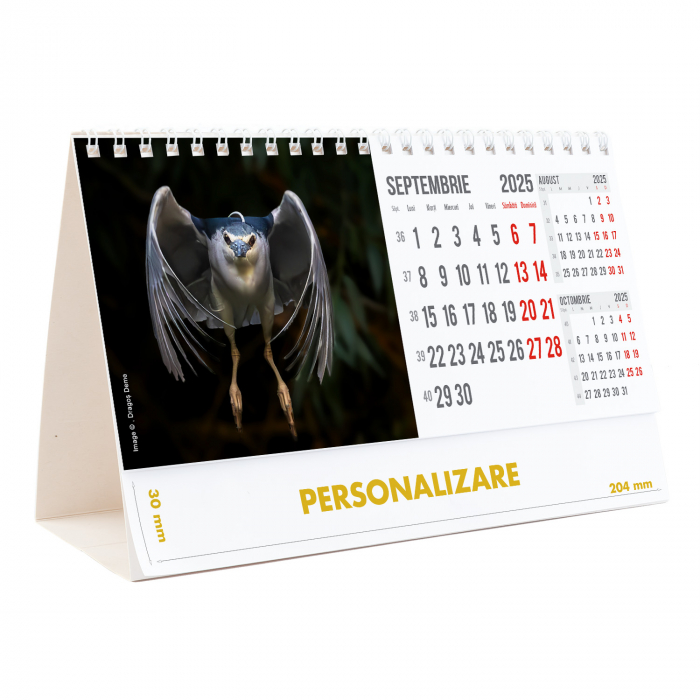 Calendar de birou Magia Deltei, 12 file, CD [19]