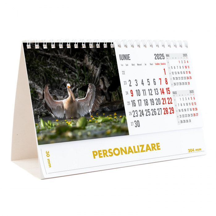 Calendar de birou Magia Deltei, 12 file, CD [13]