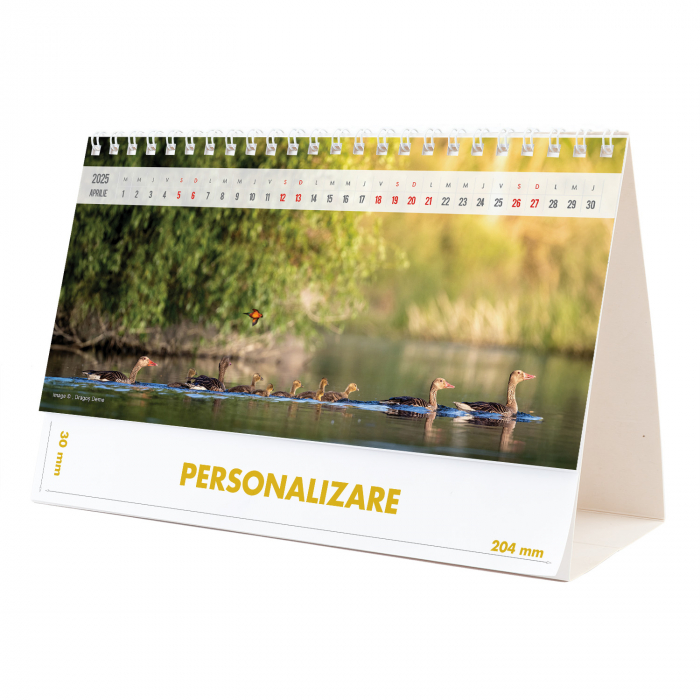 Calendar de birou Magia Deltei, 12 file, CD [8]