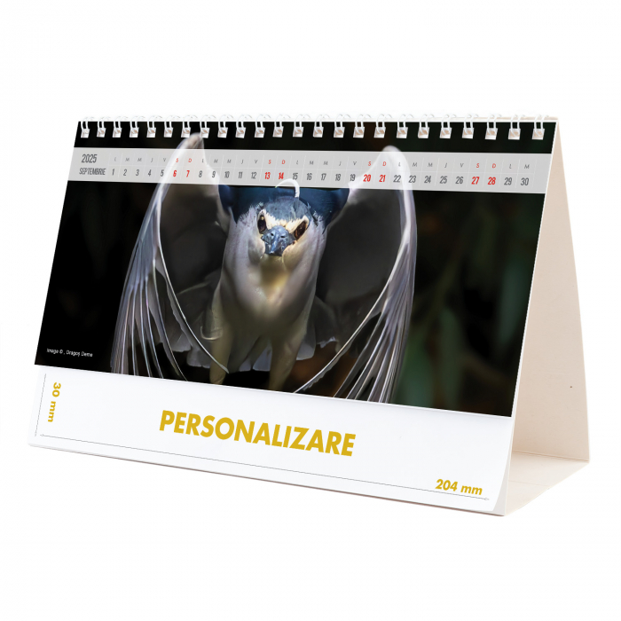 Calendar de birou Magia Deltei, 12 file, CD [18]