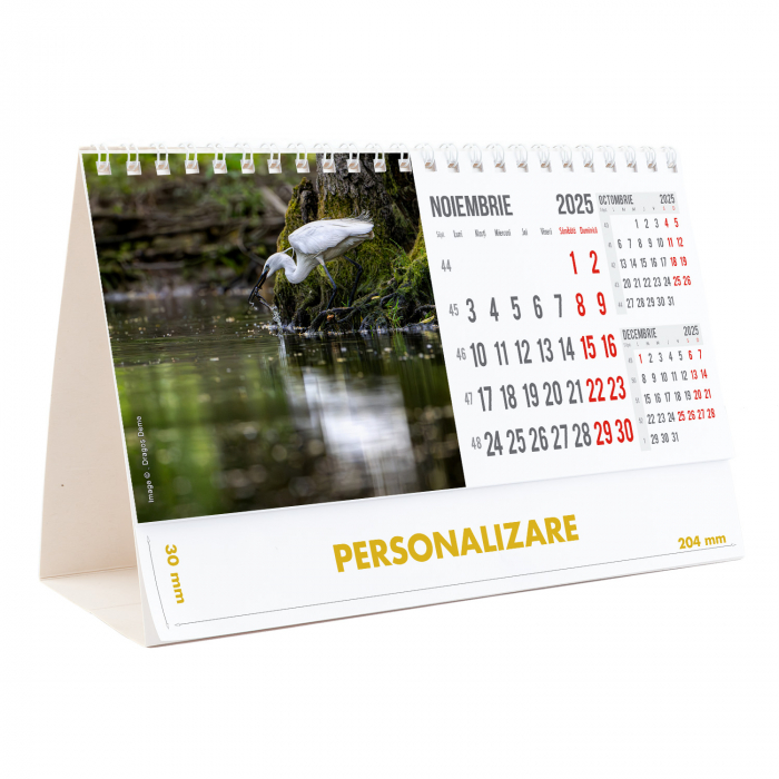 Calendar de birou Magia Deltei, 12 file, CD [23]