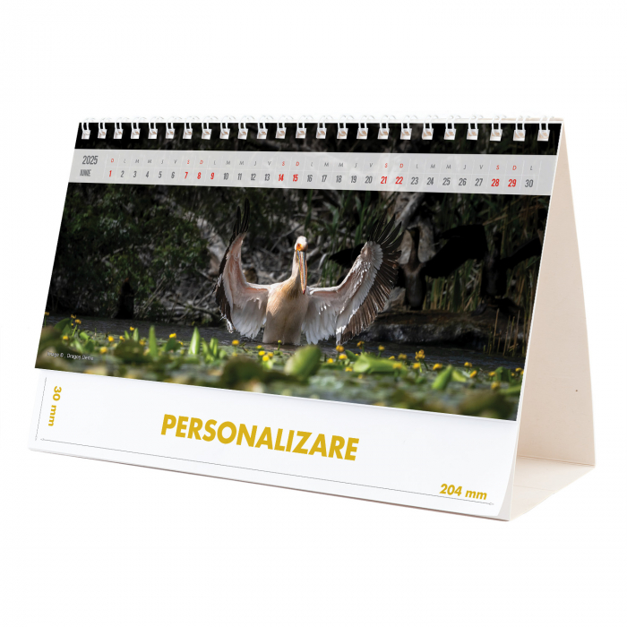 Calendar de birou Magia Deltei, 12 file, CD [12]