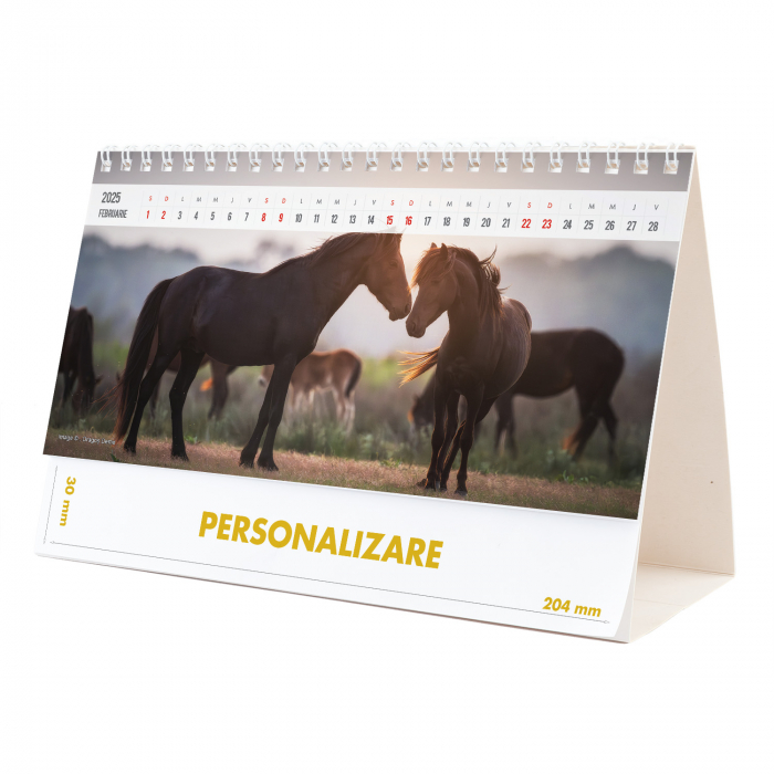 Calendar de birou Magia Deltei, 12 file, CD [4]