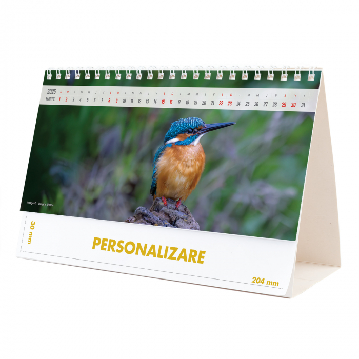 Calendar de birou Magia Deltei, 12 file, CD [6]