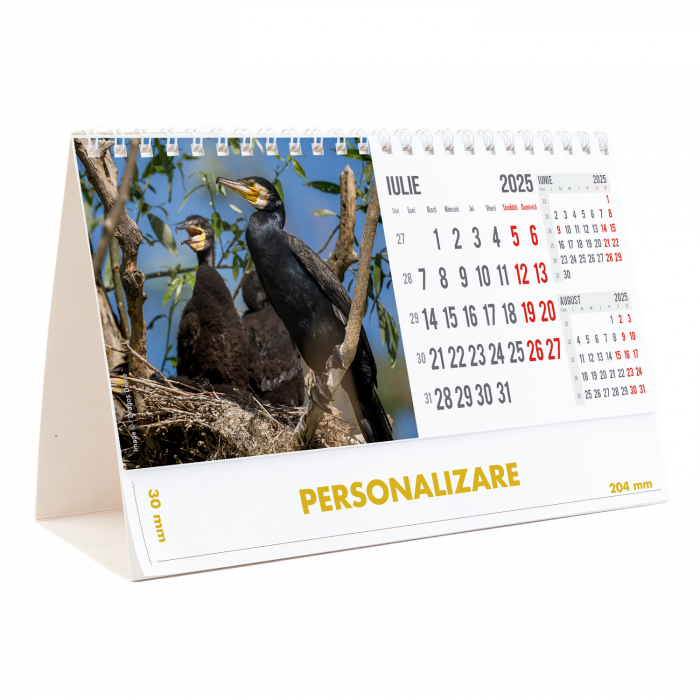 Calendar de birou Magia Deltei, 12 file, CD [15]