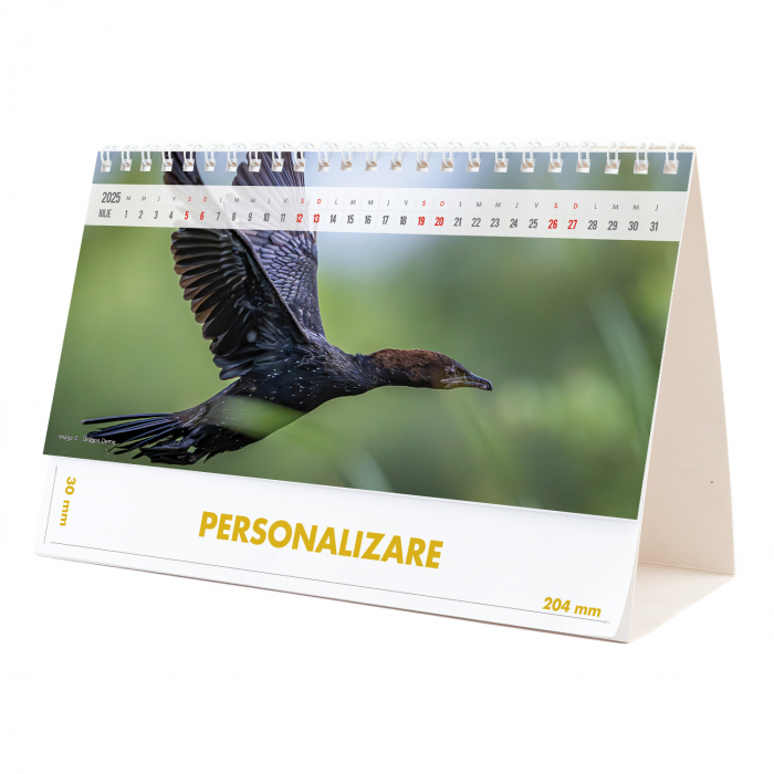 Calendar de birou Magia Deltei, 12 file, CD [14]