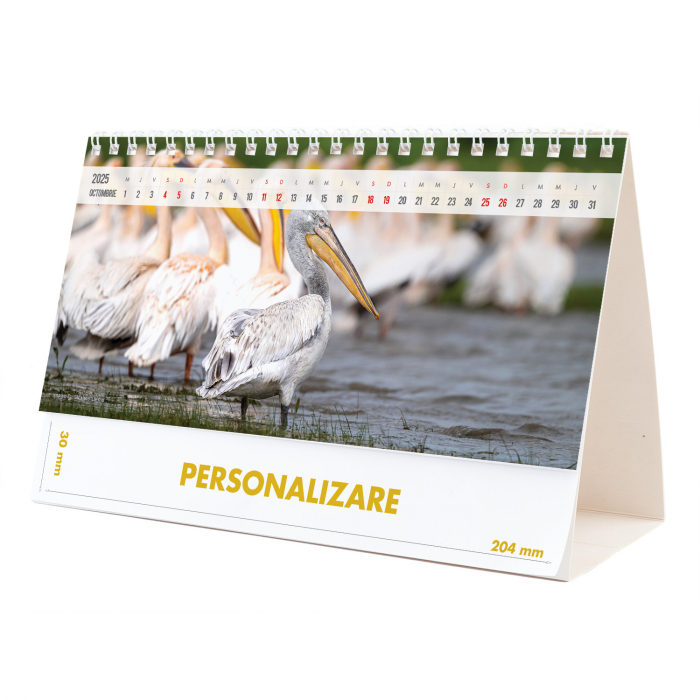 Calendar de birou Magia Deltei, 12 file, CD [20]