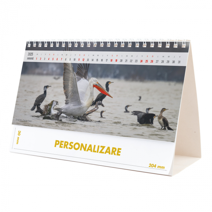 Calendar de birou Magia Deltei, 12 file, CD [2]
