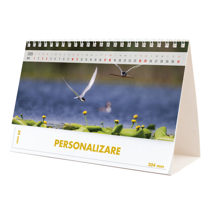 Calendar de birou Magia Deltei, 12 file, CD [10]