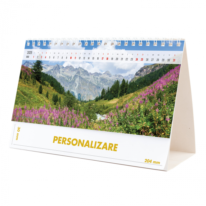 Calendar de birou Munti, 12 file, CD [10]