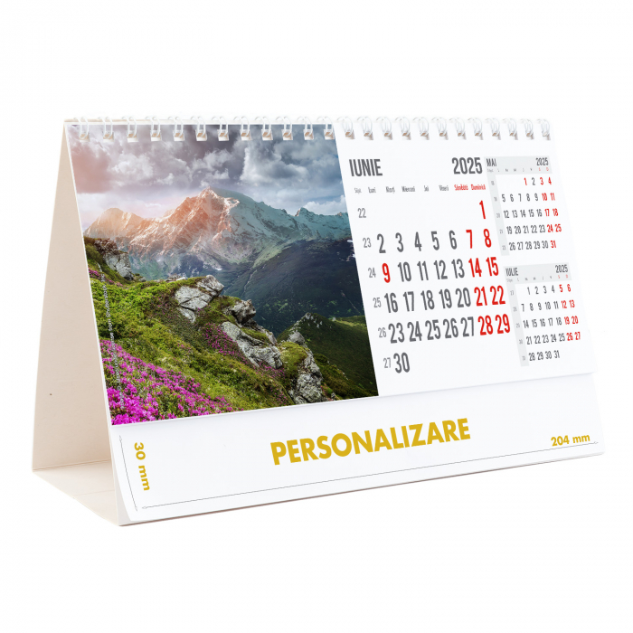 Calendar de birou Munti, 12 file, CD [13]