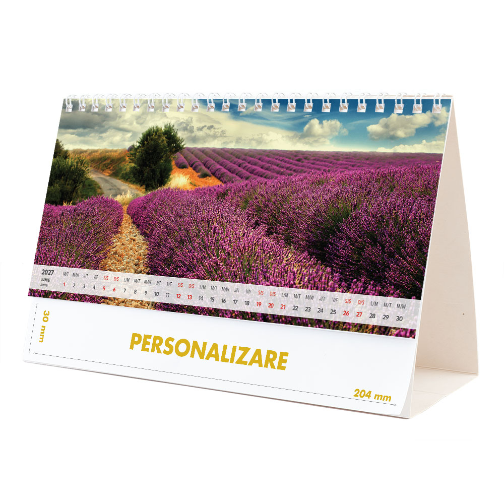 Calendar de birou Peisaje, 12 file, CD [12]