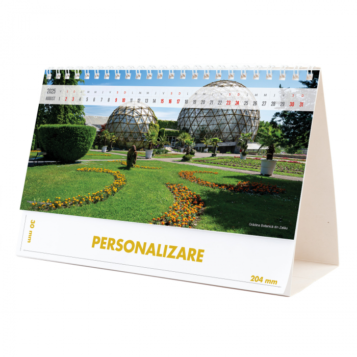 Calendar de birou Romania, 12 file, CD [16]