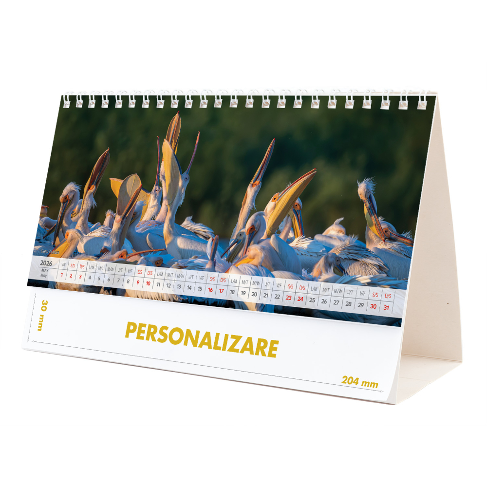 Calendar de birou Romania - comori nepretuite , 12 file, CD [10]