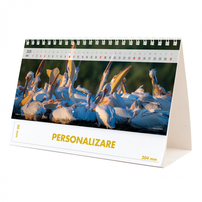 Calendar de birou Romania, 12 file, CD [10]