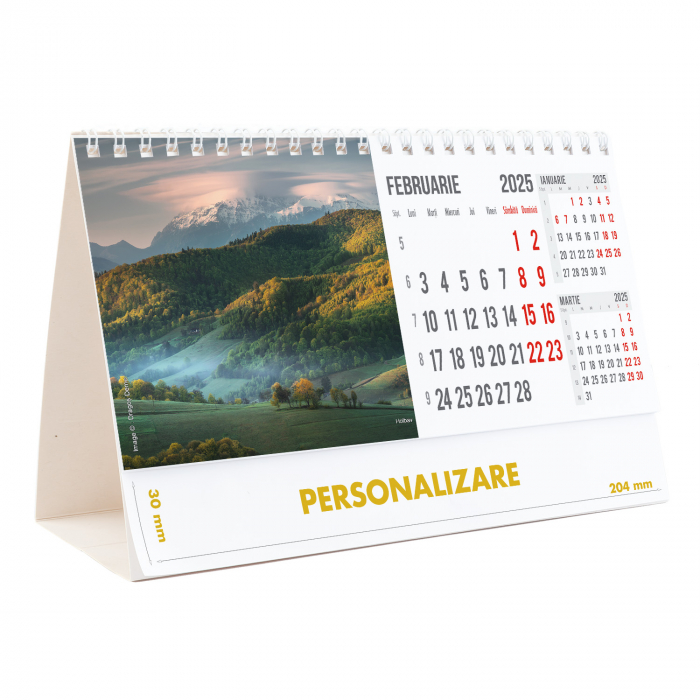 Calendar de birou Romania, 12 file, CD [5]